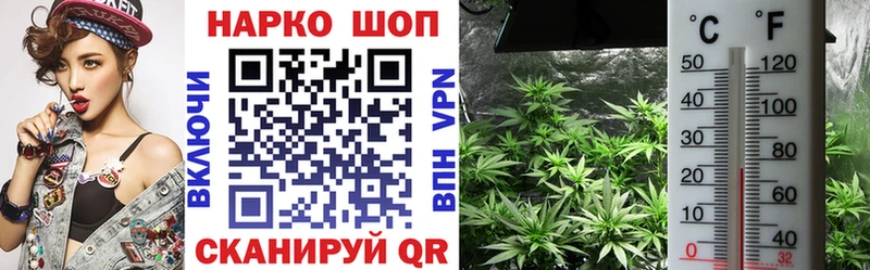 Где купить Камышин ГАШИШ Cocaine Мефедрон Героин МАРИХУАНА