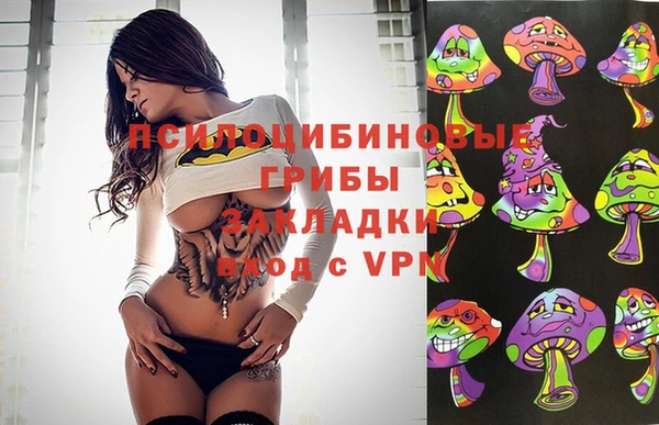 герыч Алзамай