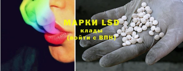 хмурый Магас