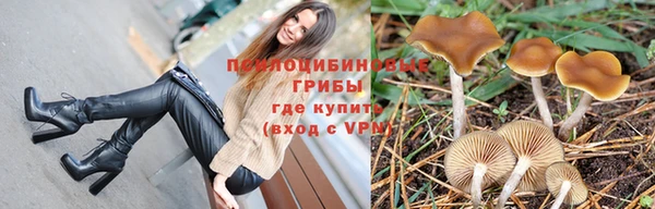 герыч Алзамай