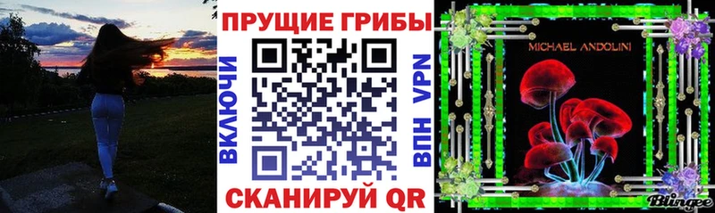 цены   KRAKEN ТОР  Галлюциногенные грибы GOLDEN TEACHER  Камышин 